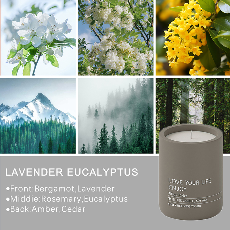 Ningbo Habest Rumah Co, Ltd