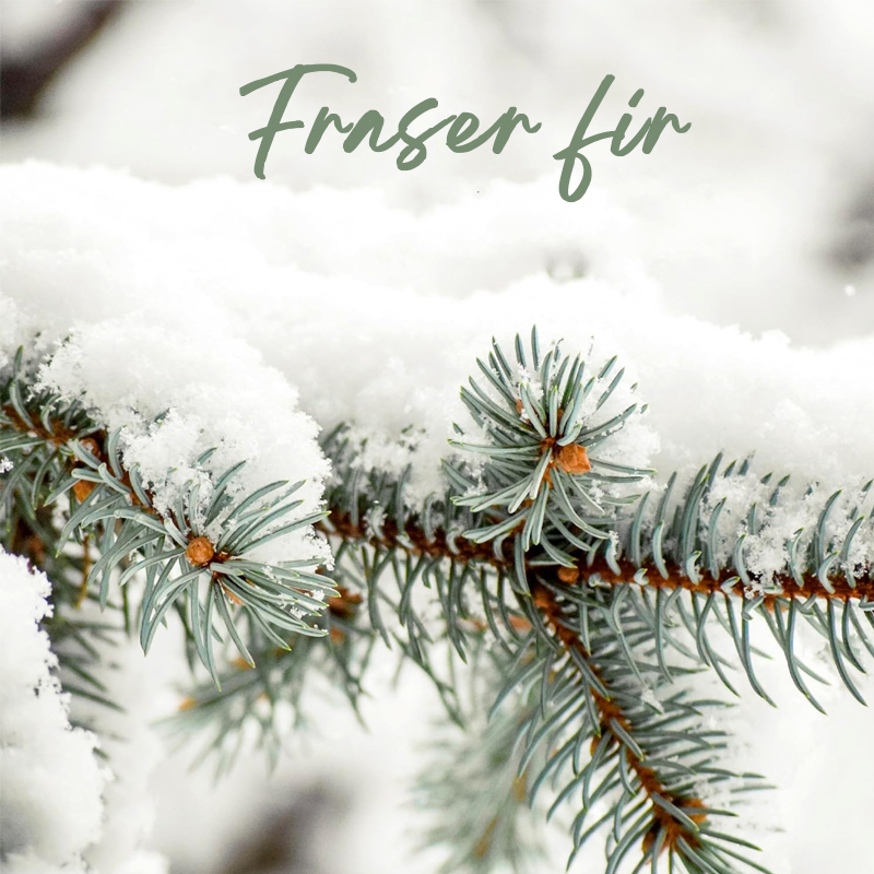 Ningbo Habest Rumah Co, Ltd