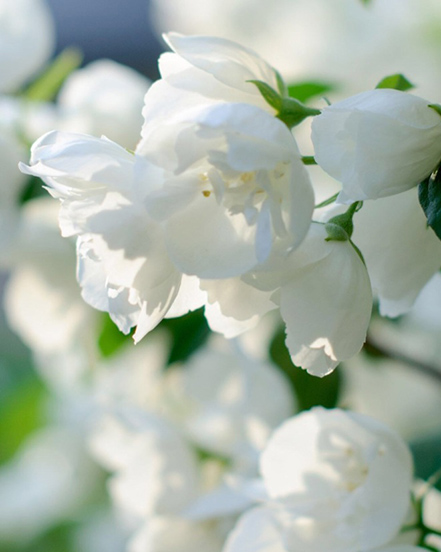 Ningbo Habest Rumah Co, Ltd