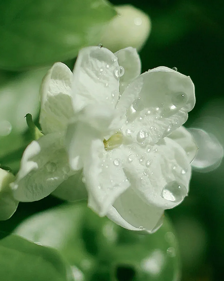 Ningbo Habest Rumah Co, Ltd